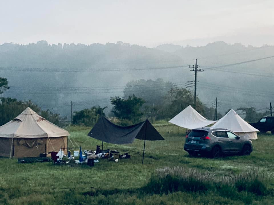 R̉TCg͌łBVC̗ǂɂzBJ̓LZłB