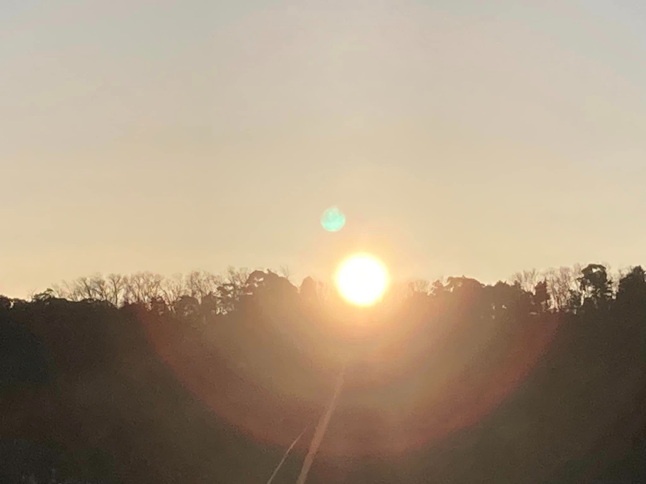 YȎRrTCǵAłBƑAɐlCłBtɂ͂ɒԂĂB