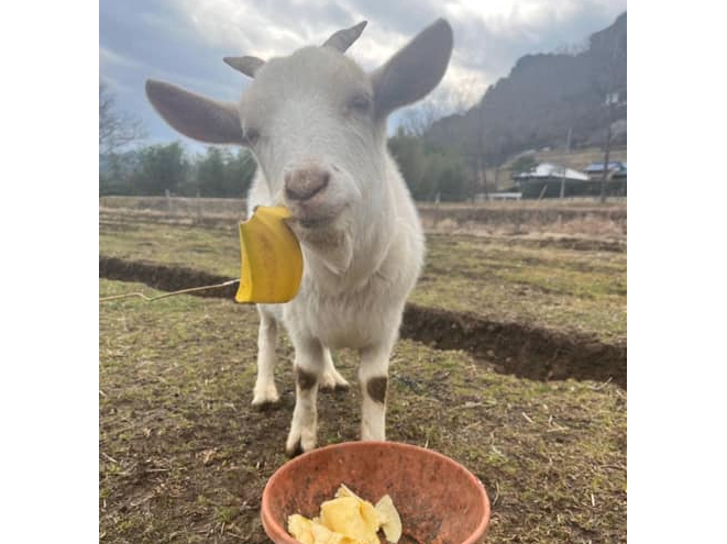 Rr̃CƂӂꂠ̌@[hđ̂鏊ɃC̎Uł܂BpłȂ悤ɓĂˁB