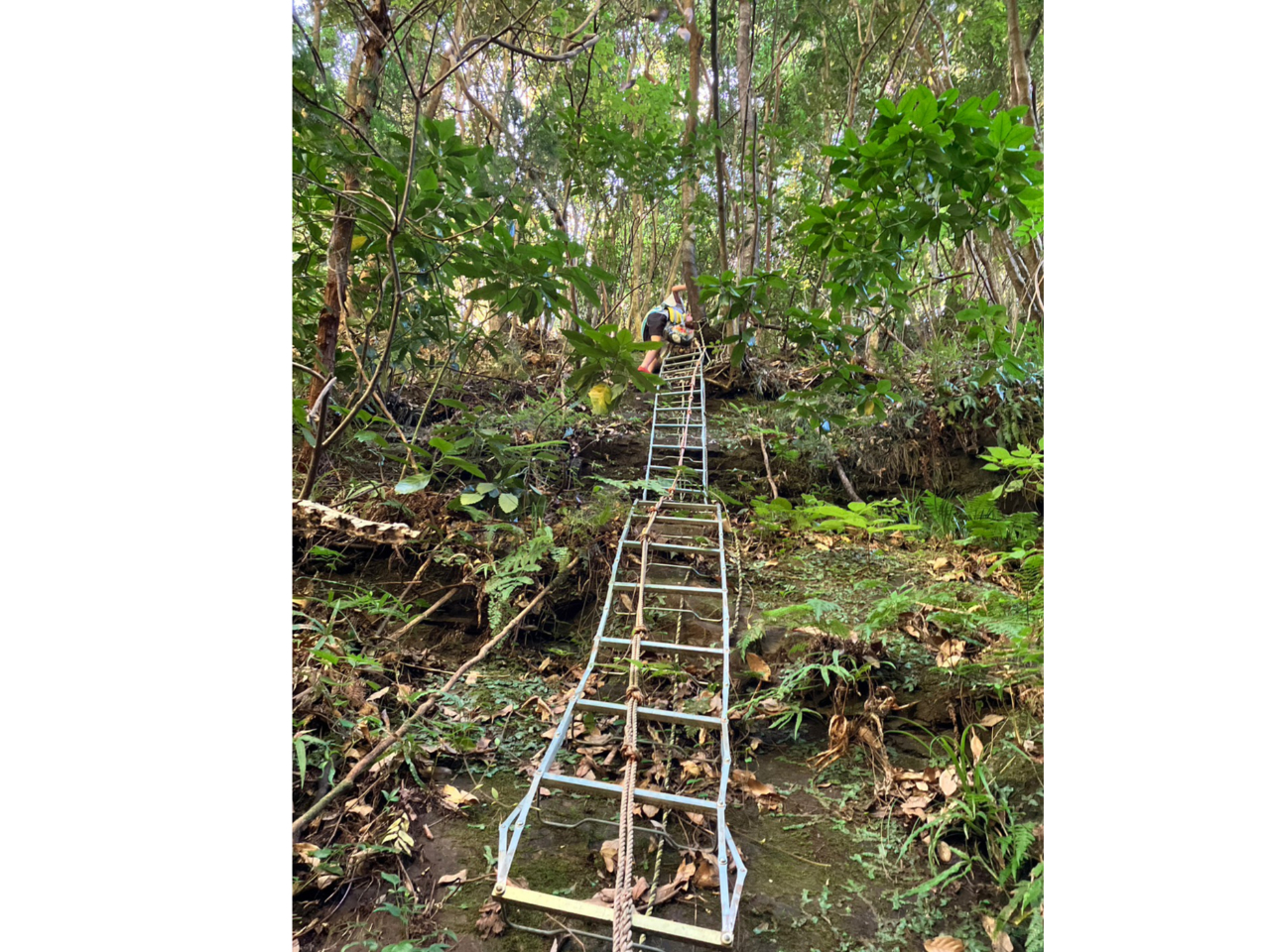 滝の前でキャンプもできます。トラロープと縄梯子で滝つぼに降りるのは命がけです。安全については自己責任でお願いします。