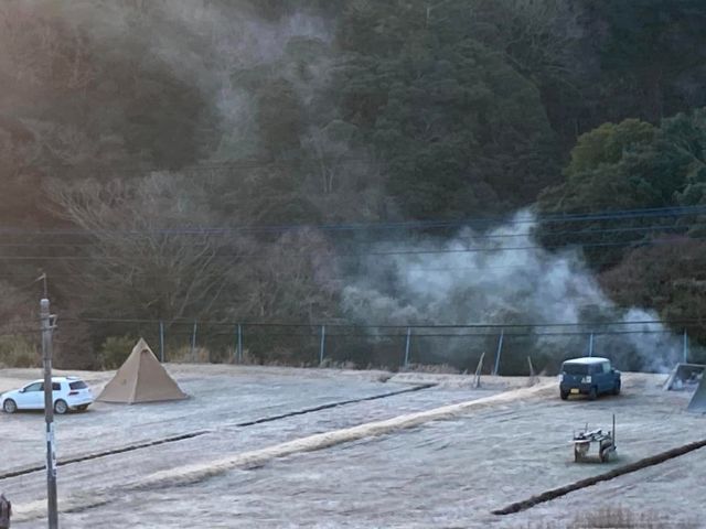 星の綺麗な山羊サイト