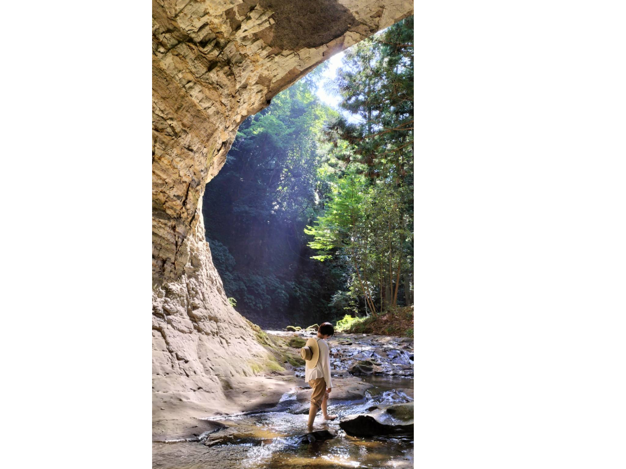 �J����̑�ŉj���B