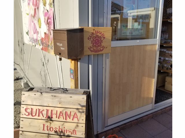 お花 キットで手軽に 花時計 フラワークロック 60分 手作りの花時計 女性 カップル 糸島c Z内 Sukihana Itoshima じゃらん遊び体験 お花 キットで手軽に 花時計 フラワークロック 60分 手作りの花時計 女性 カップル 糸島c Z内 Sukihana Itoshima じゃらん遊び体験