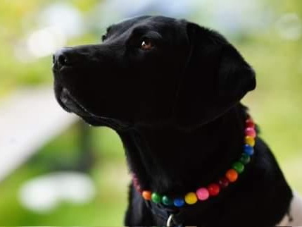 fFGC~[@by funfun soda