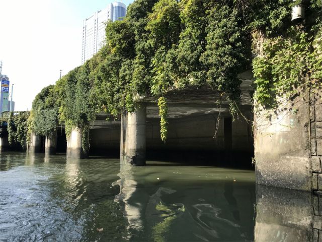 「お茶の水分水路」 水道橋付近にあるお茶の水分水路の真っ暗な入り口