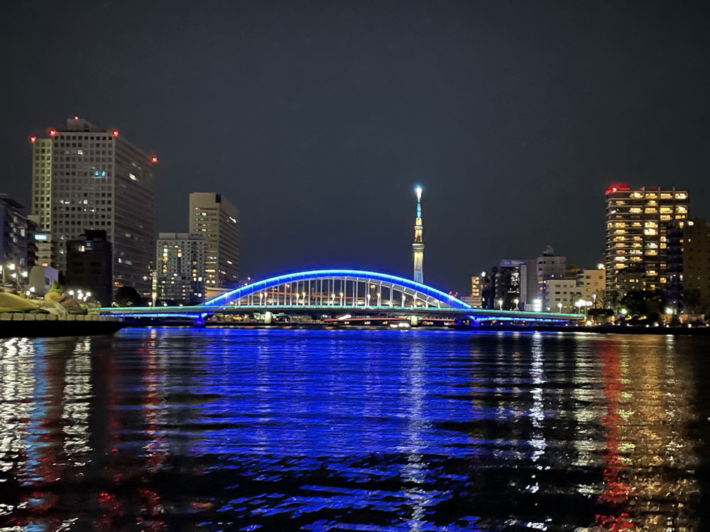 下町探検クルーズ がれおんの割引プラン