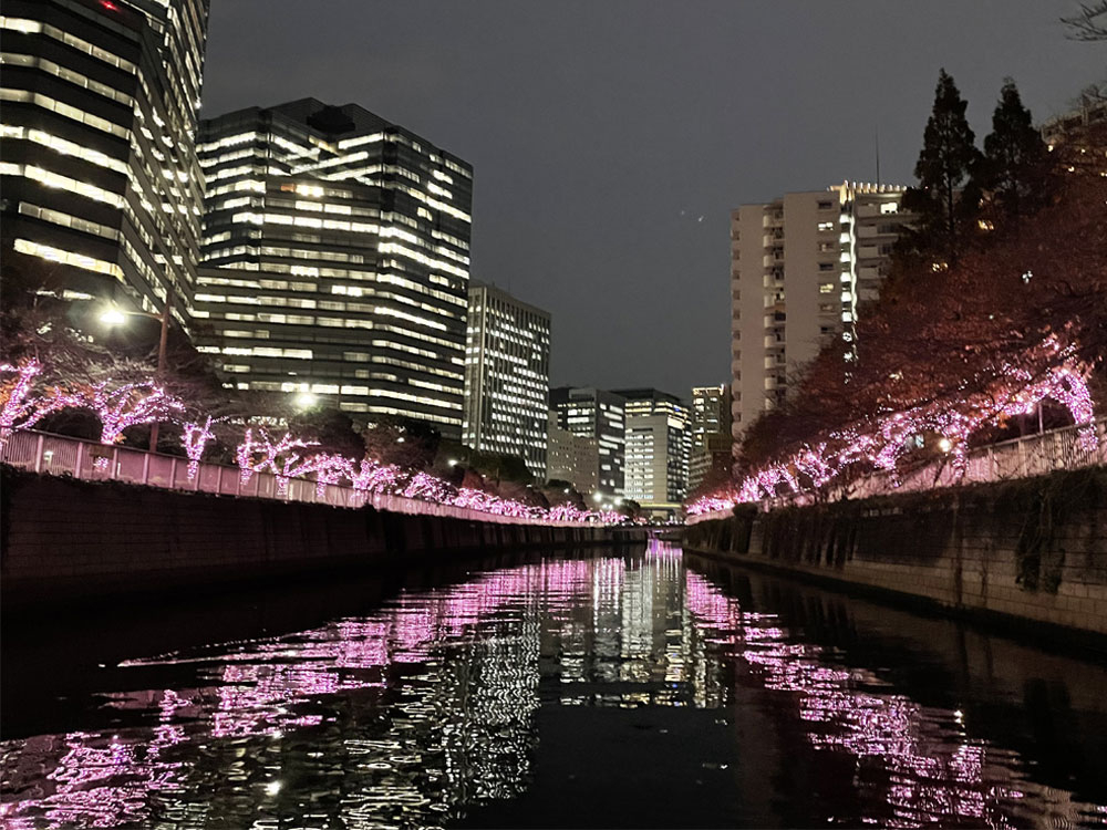 uڍC~l[Vv t͂ԌŗLȖڍ쉈̍ʂ錶zIȃC~l[V