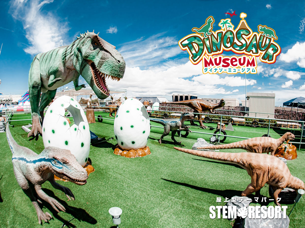 アスレチック新登場 ワンドリンク付き 動く 吠える 触って遊べる恐竜がいっぱい ダイナソーミュージアム入場料 Stem Resort ステムリゾート ダイナソーミュージアム じゃらん遊び体験