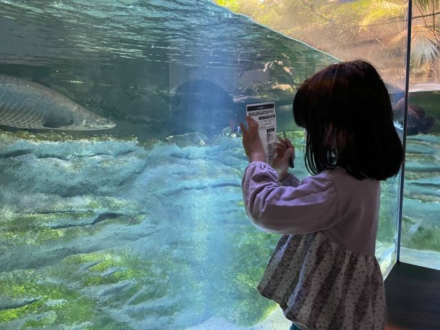 お子さま向けのワークシートも館内に無料で設置しております。楽しく学んで全問正解するとプレゼントがもらえます!