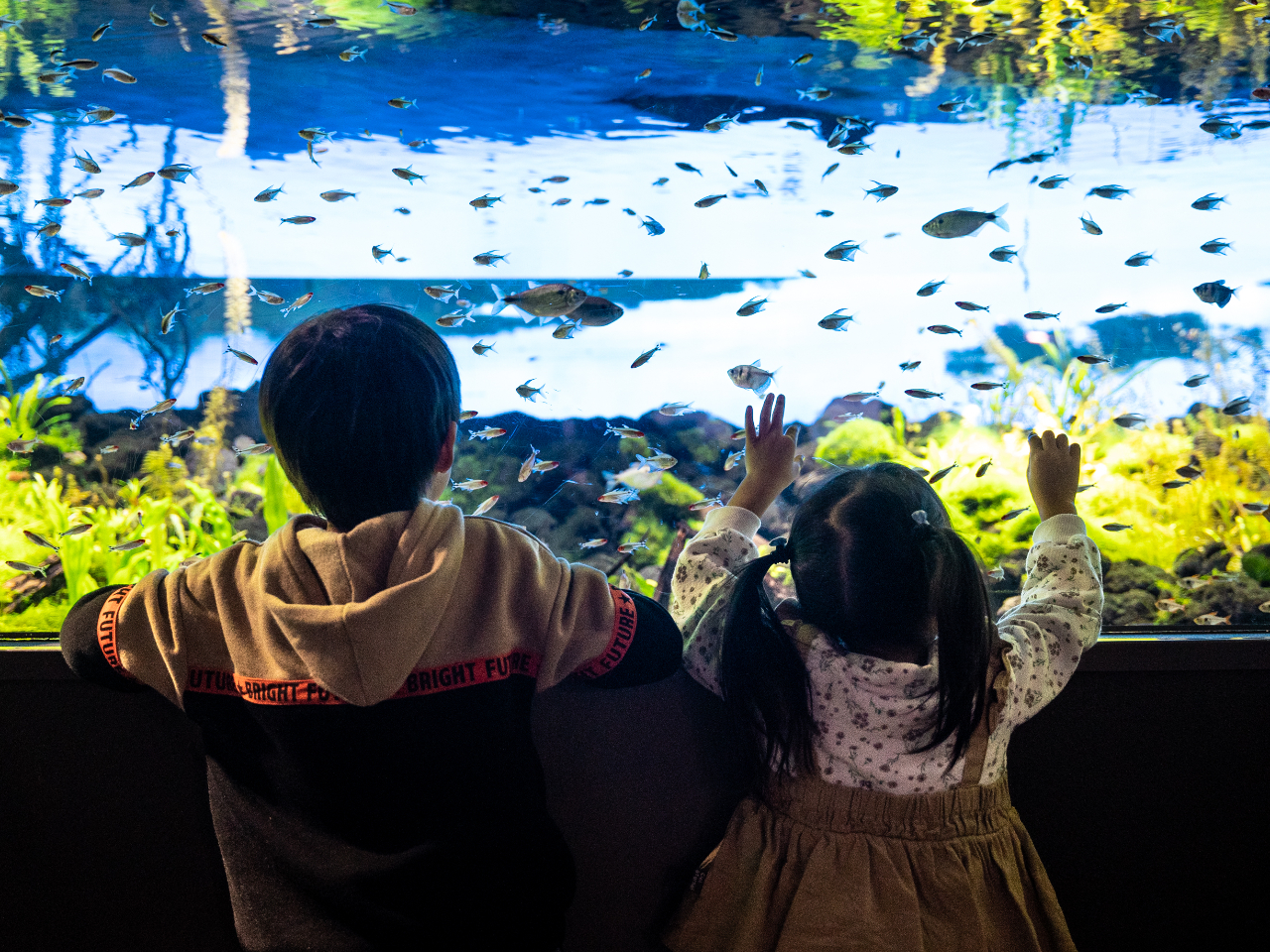 カワスイは世界の水辺の生きもの300種類以上が展示されています!
