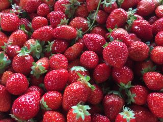 ちびっこいちごたくさんとって帰ってジャムにしちゃったり。