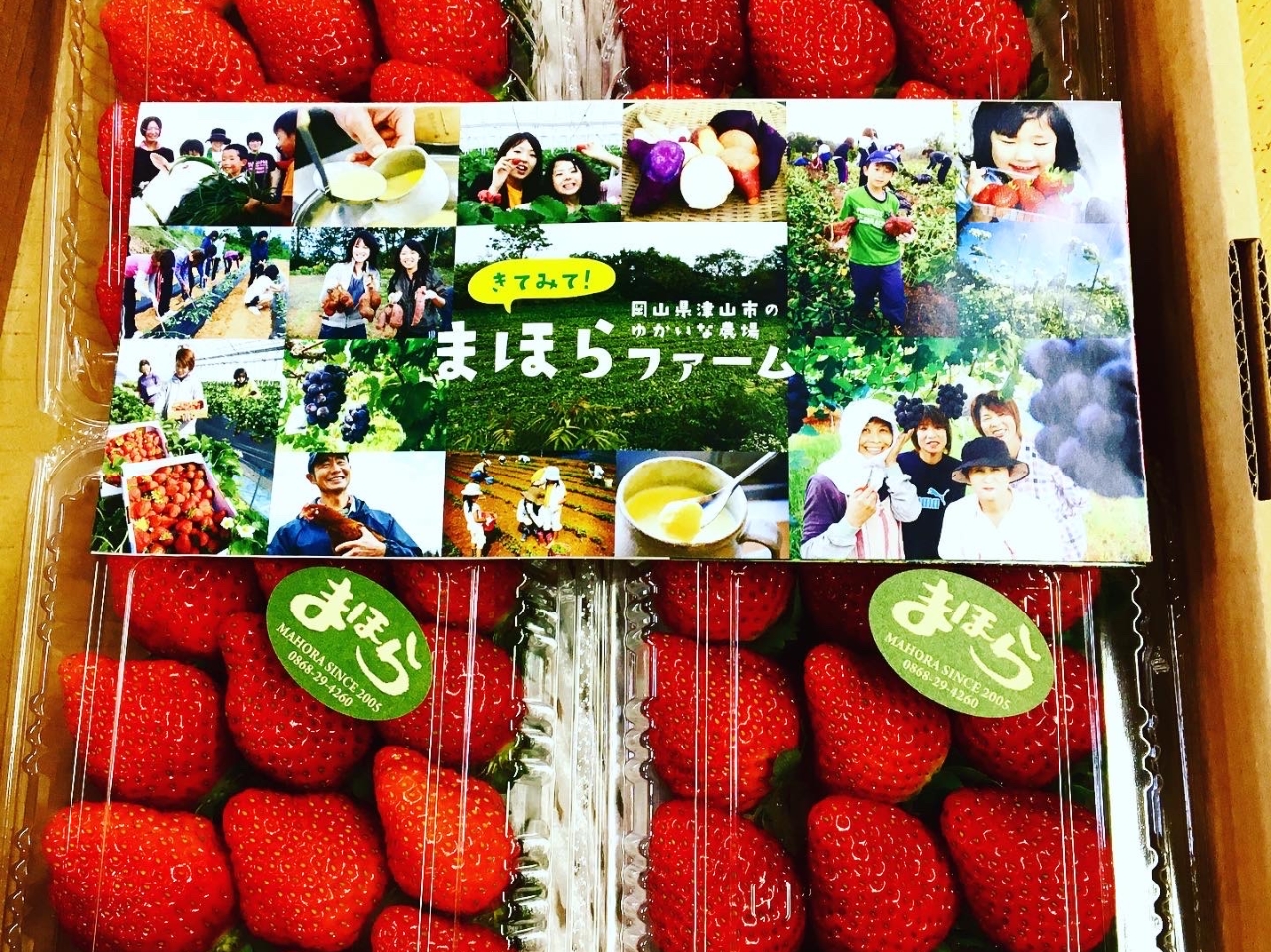 じゃらん限定】60分いちご食べ放題＆6種から選べるお土産付きプラン