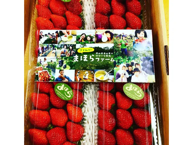 じゃらん限定】60分いちご食べ放題＆6種から選べるお土産付きプラン