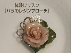 柏駅周辺のフラワーアレンジメント ガーデニングランキングtop8 じゃらんnet 柏駅周辺のフラワーアレンジメント ガーデニングランキングtop8 じゃらんnet