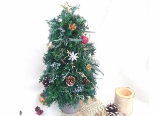 女性におすすめ一人参加もok クリスマスツリーづくり Lisの花工房 じゃらん遊び体験 女性におすすめ一人参加もok クリスマスツリーづくり Lisの花工房 じゃらん遊び体験