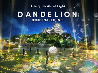 平和を祈る参加型アート「DANDELION PROJECT」