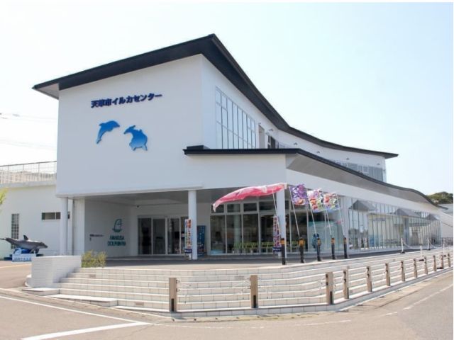 天草市 道の駅イルカセンターまでお越しください!