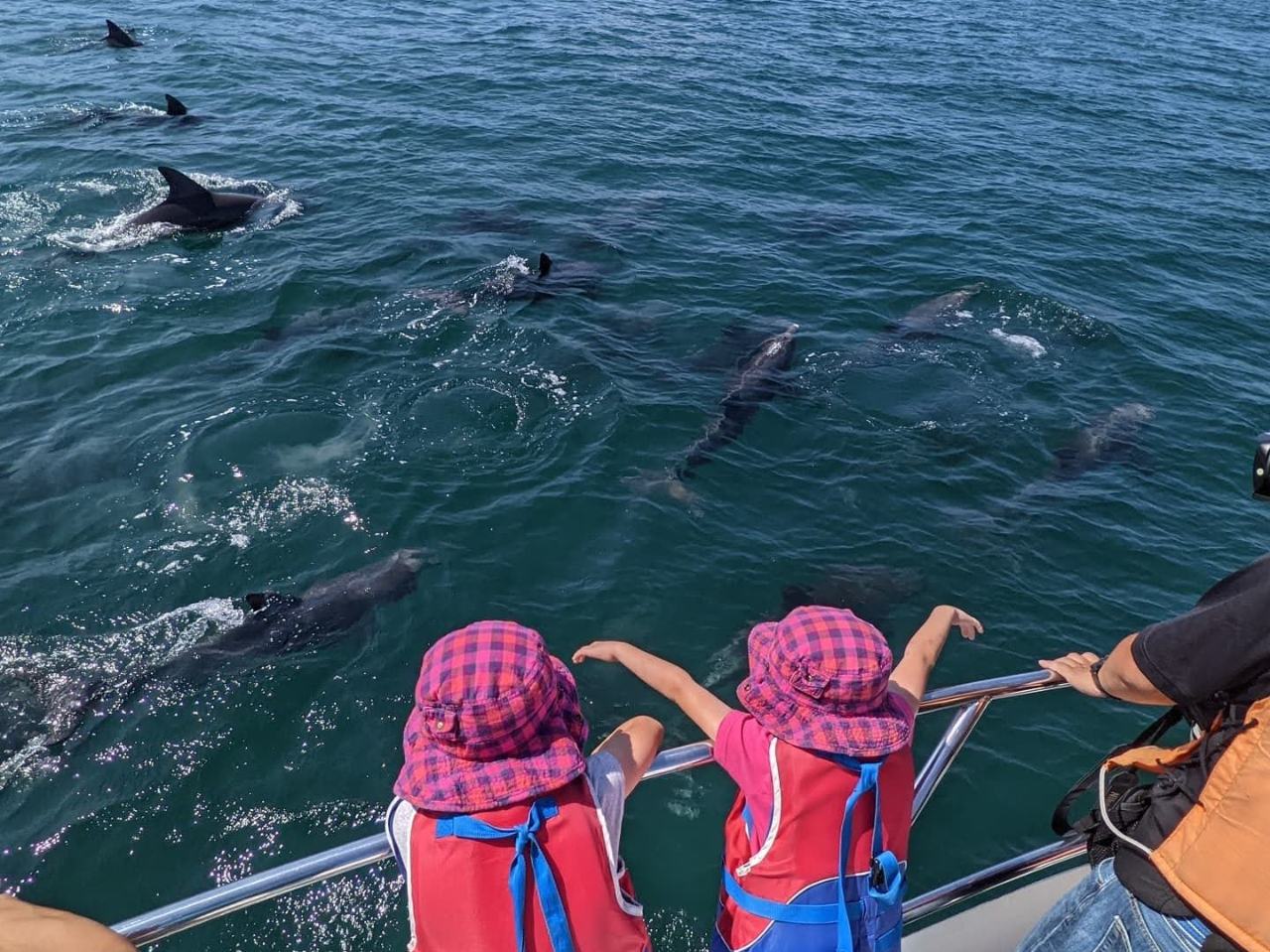 ̓N[U[^Cv̑DőSCJ܂II