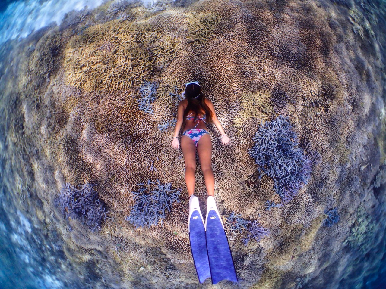 FN₩ȃTSX|bgI܂ŕʐEɂ悤ȑ̌ł܂