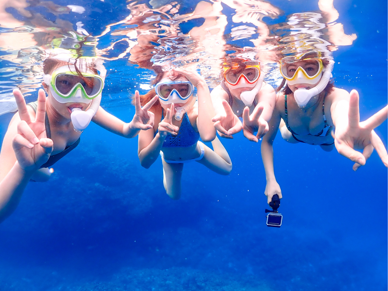 ^@ނ[IłI񎝂łĂvłII