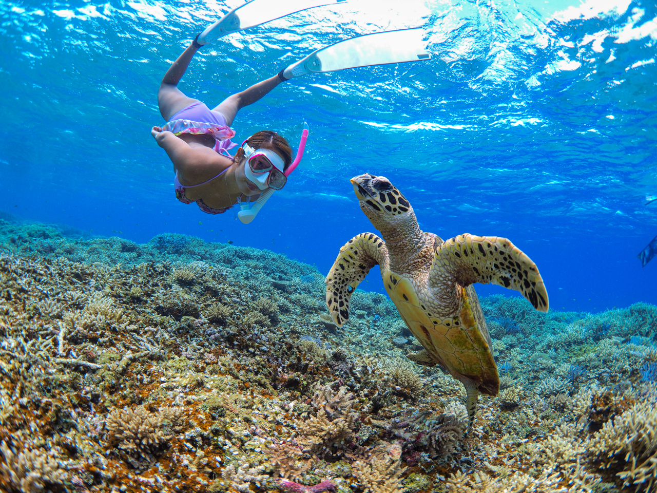 C̐Ȃɋ߂Ō̂̓XL_CrOȂł͂ł()