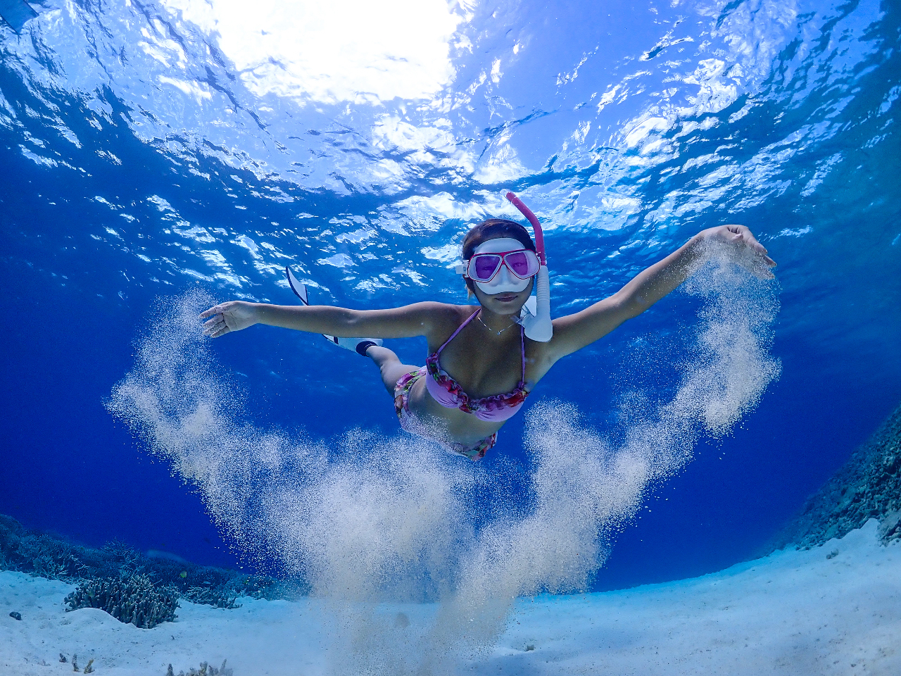 XL_CrOifj𒧐킵S҂̕A [ʂȒn`ɒ킵Ă݂㋉҂̕܂łē܂I