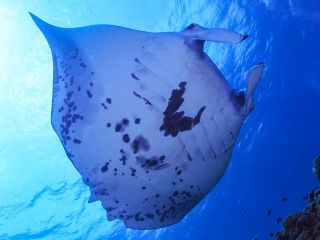 レンタル機材も充実!無料です!もちろん持ち込んでいただいても大丈夫ですよ!!