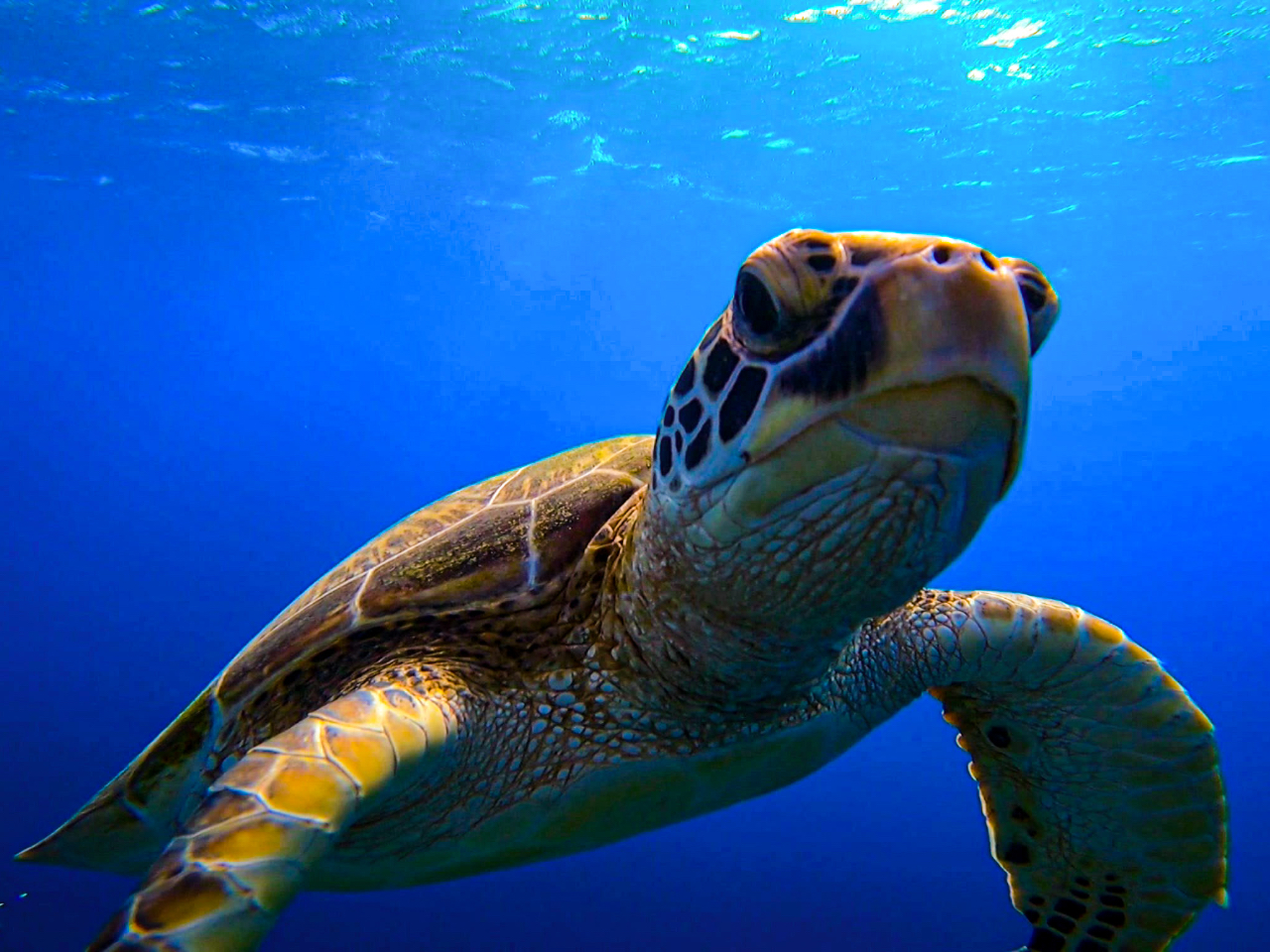 E~K͍mŉĂ܂IiRȂ̂ŉAȂ܂j