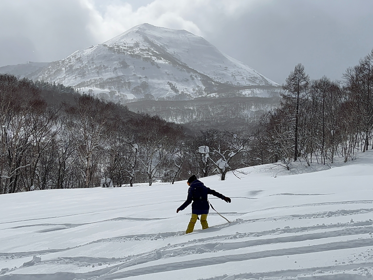 北海道・大滝】はじめての雪板体験！まるで雪上サーフィン『雪板』ゆき