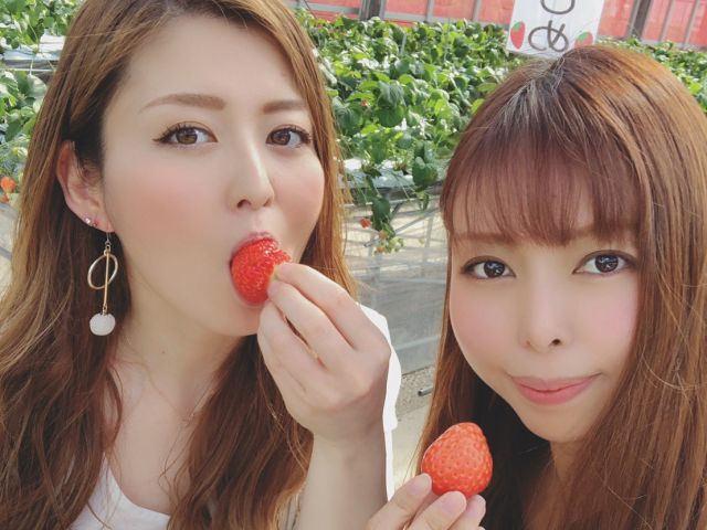 たくさん食べてください♪