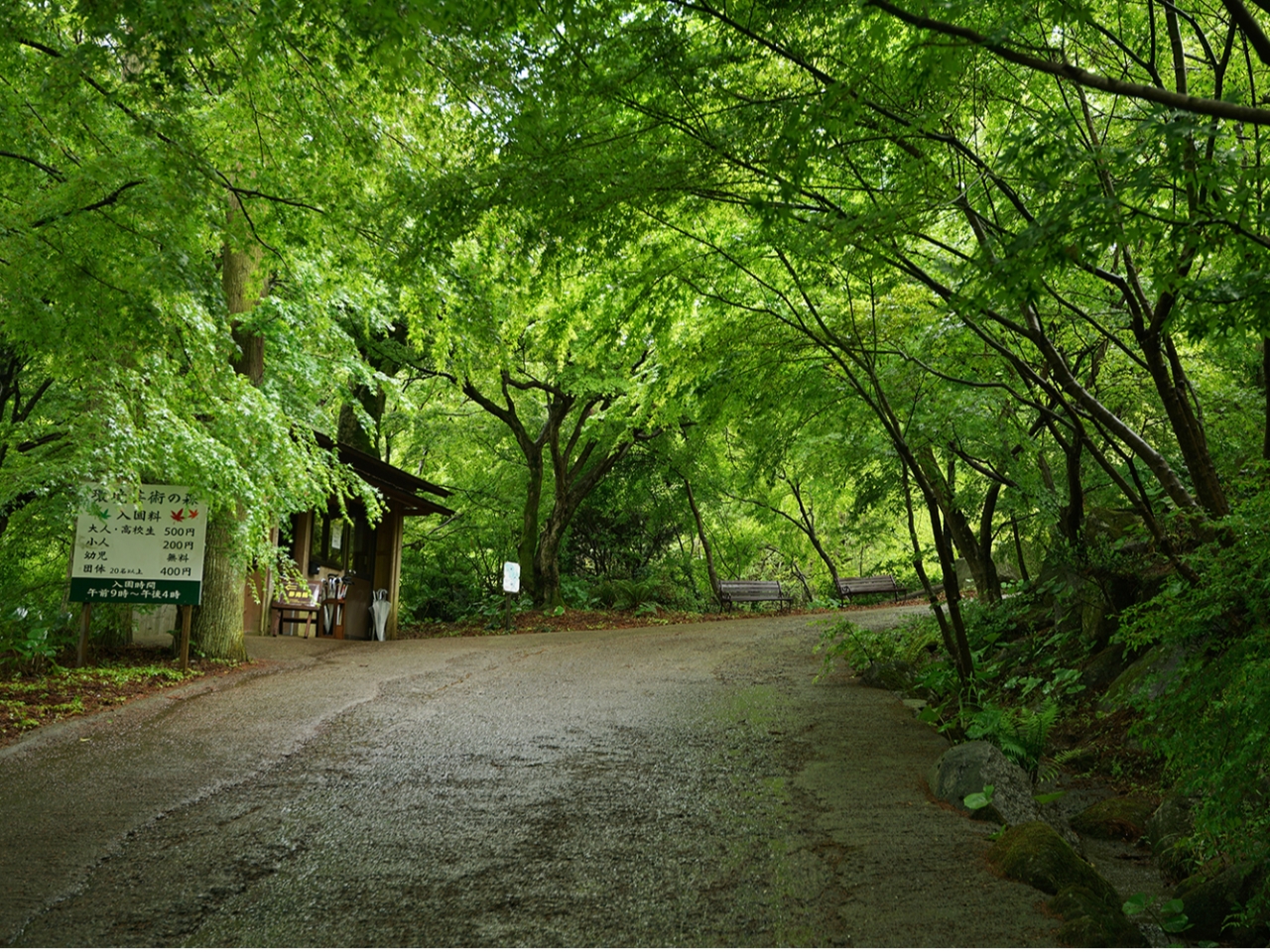 これが入口です!