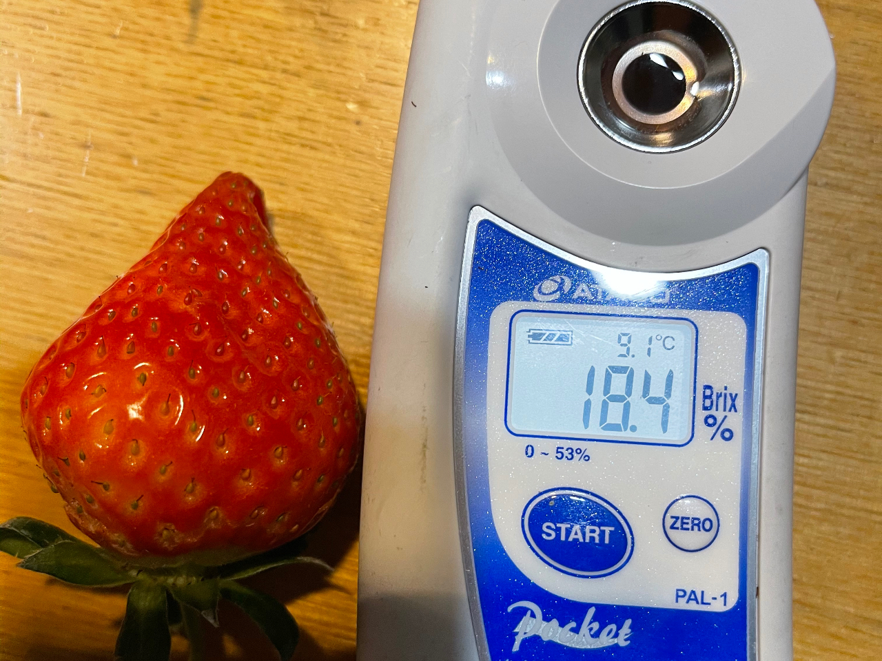 �~�͊Â��������ł��Ă܂��Ώ΁@�t�ɂ�Ď_���������܂��B