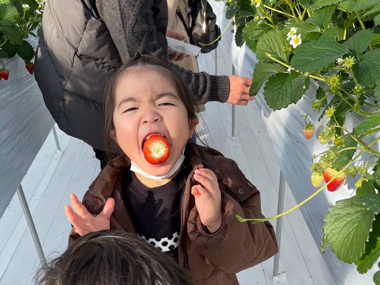 �傫����������D���ł�