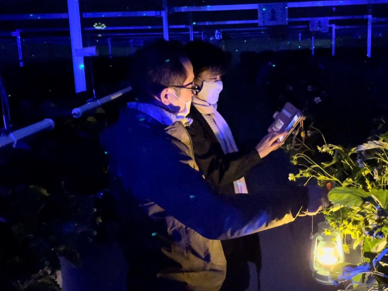 �J�b�v����