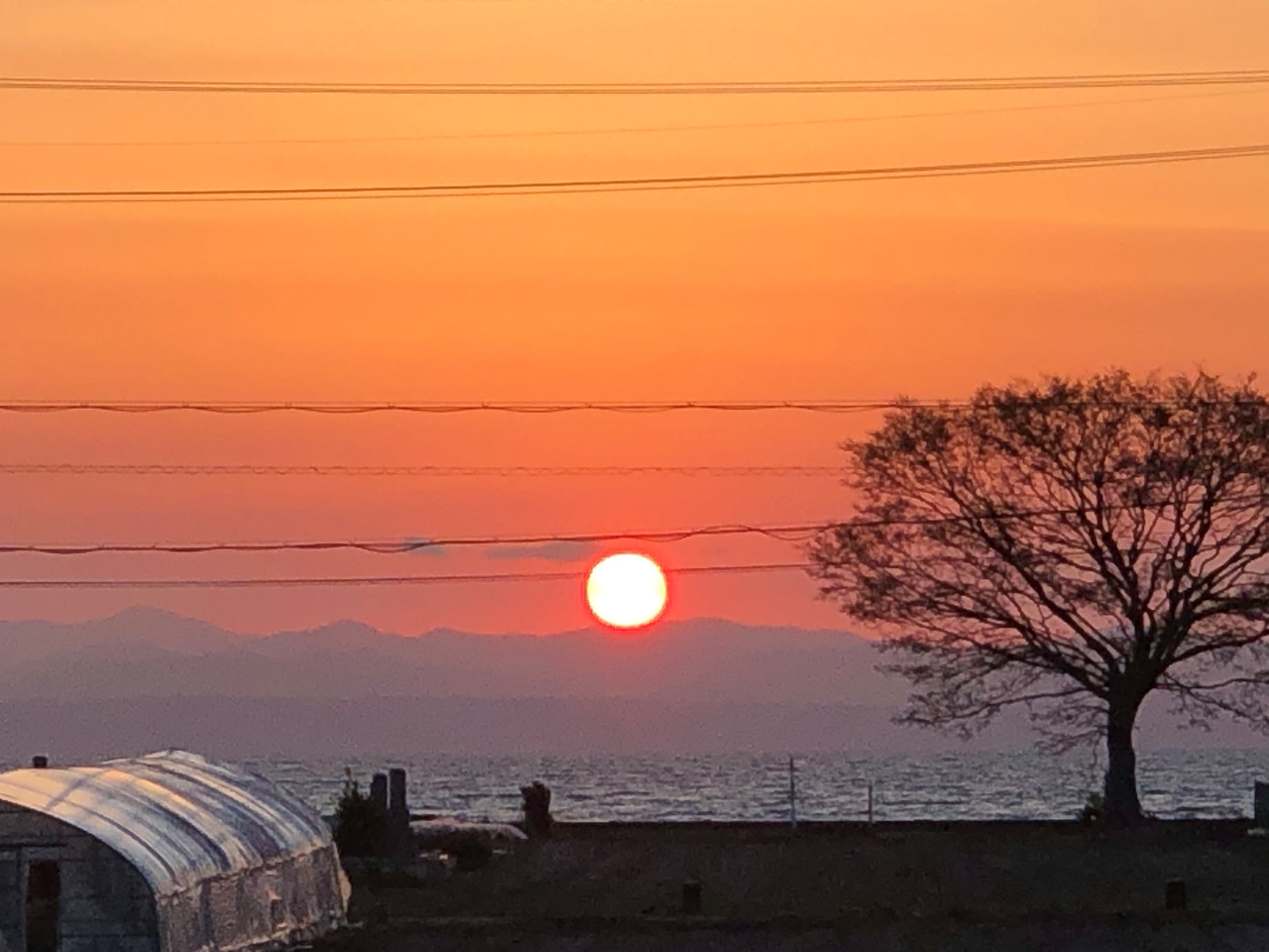 ���i�΂̂������΂ŗ[�����{���ɂ��ꂢ�Ɍ����܂���