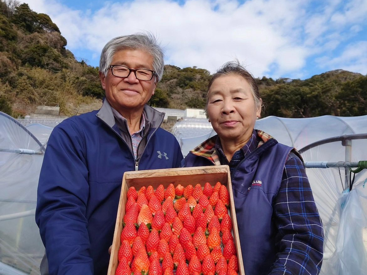 【静岡/清水】【3月~4月5日】嬉しい時間無制限♪のんびりゆっくり楽しい石垣いち...