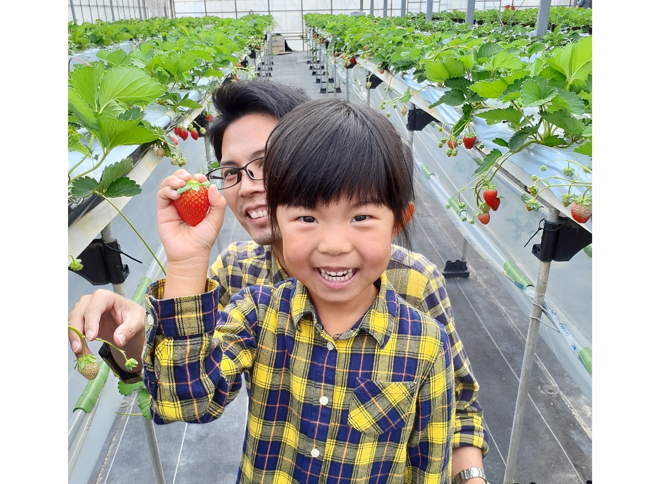 ����䂵䕉��̎ʐ^2