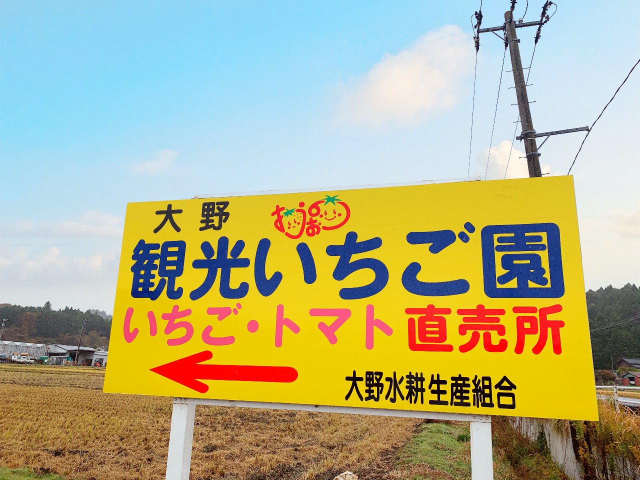 営業時間内いつ来て頂いてもＯＫ♪大きなイチゴがたくさんある早めのお時間がおすすめです！お気をつけてお越しください。