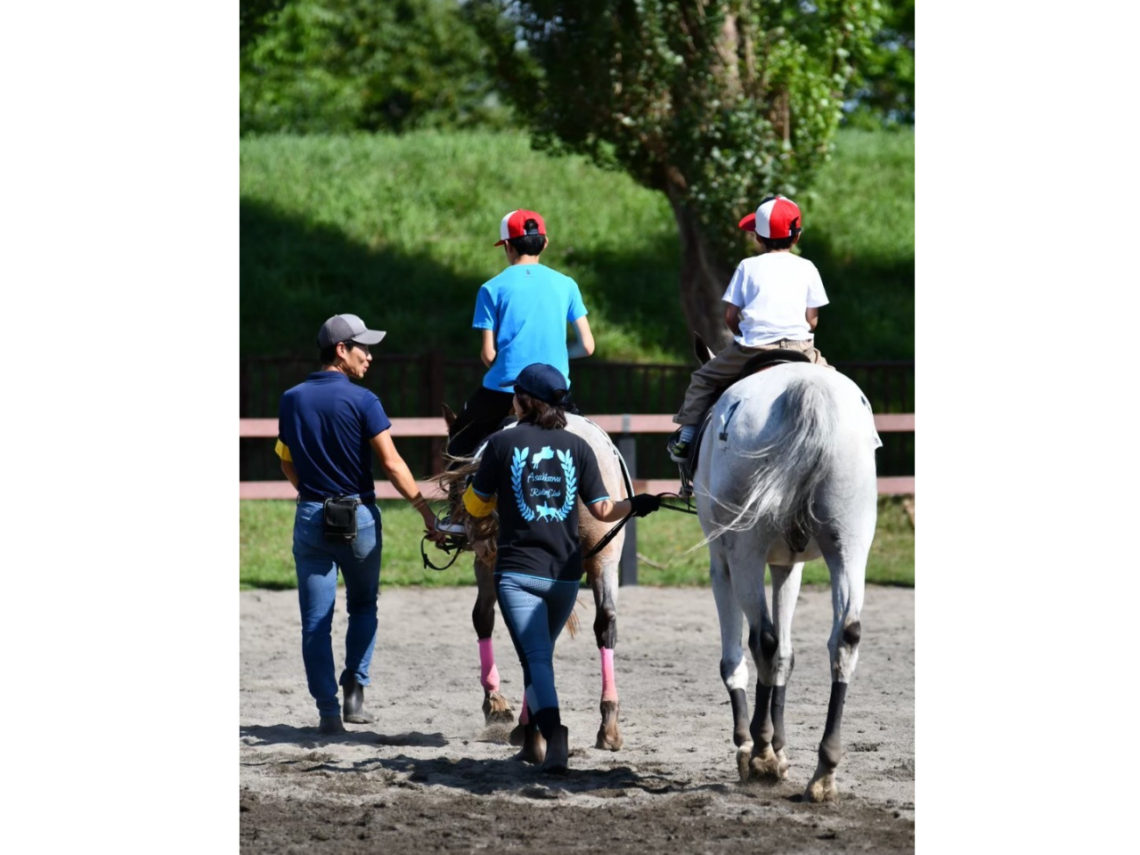 【北海道/旭川】☆ひき馬☆(約5分)