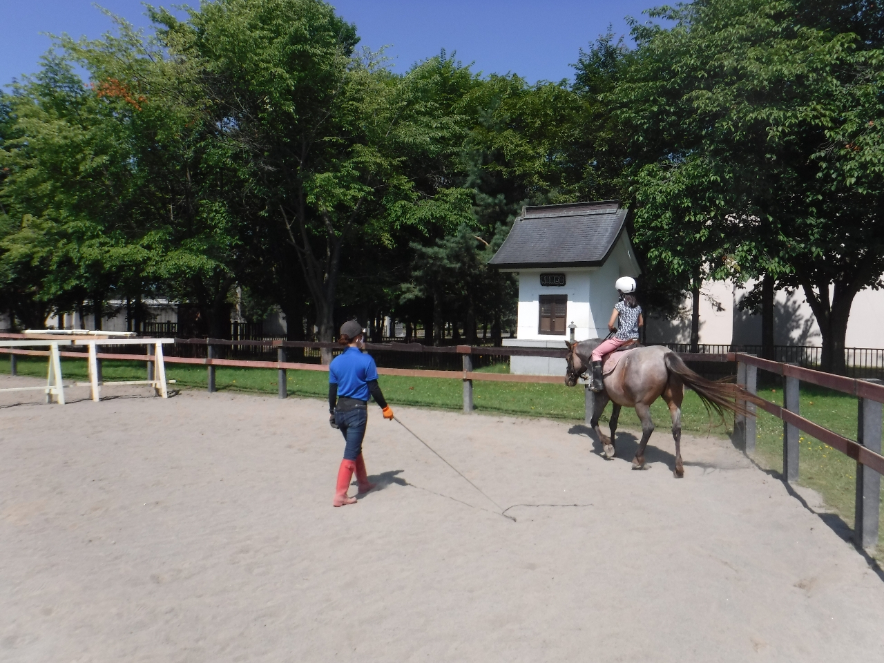 CXgN^[t̂ŁA߂Ă̕SłB