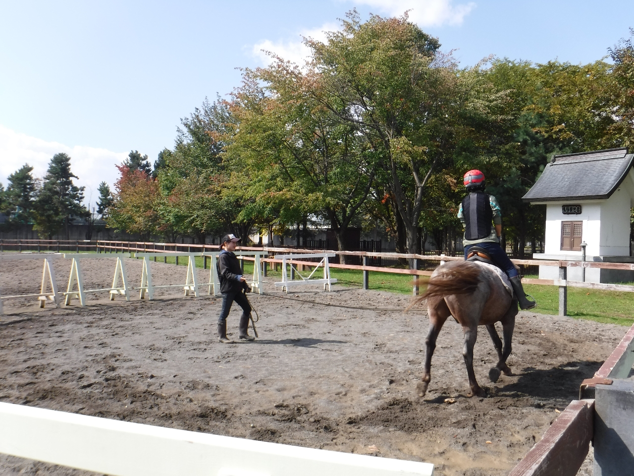 ɍsĂ܂Ȃ悤AjtăbX܂̂ňSłB