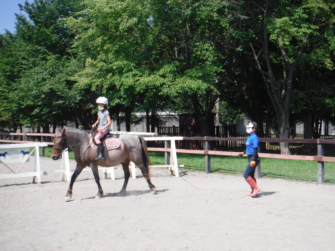 馴れるまで小さなサークルで行います。