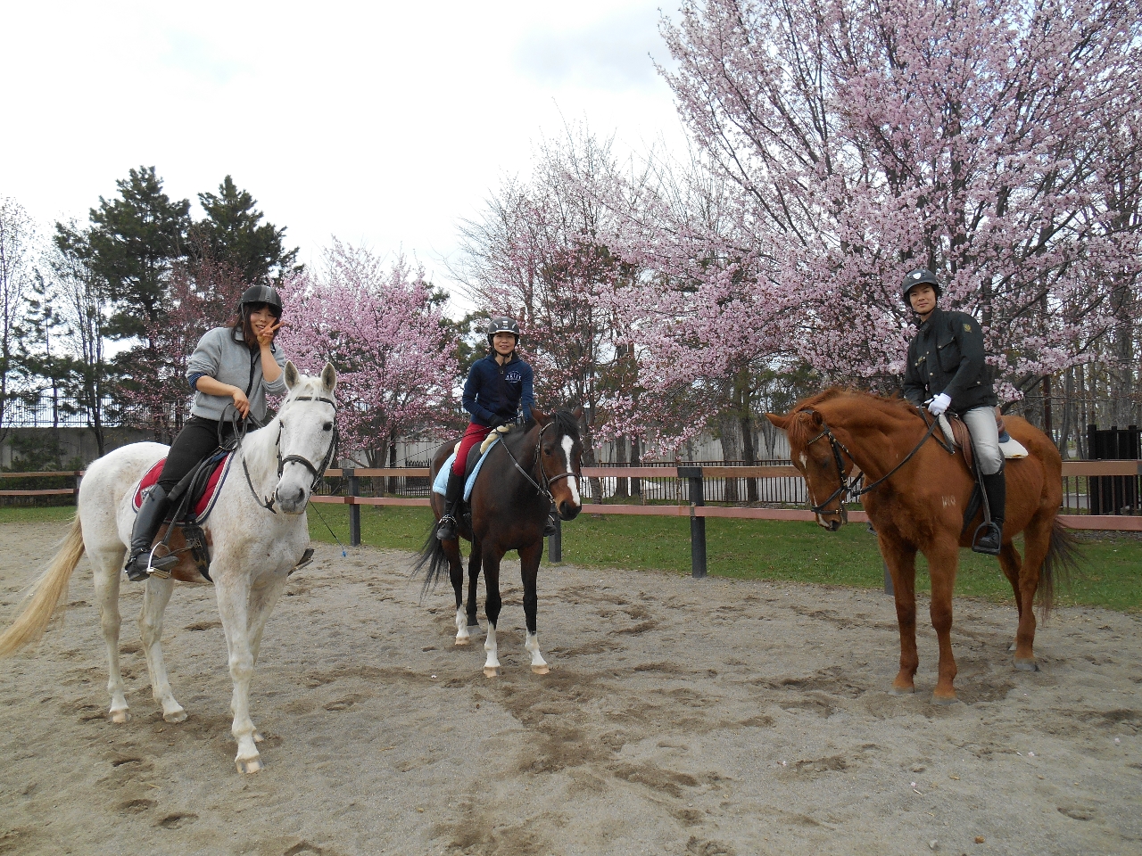 ☆ビジター乗馬☆(約30分)