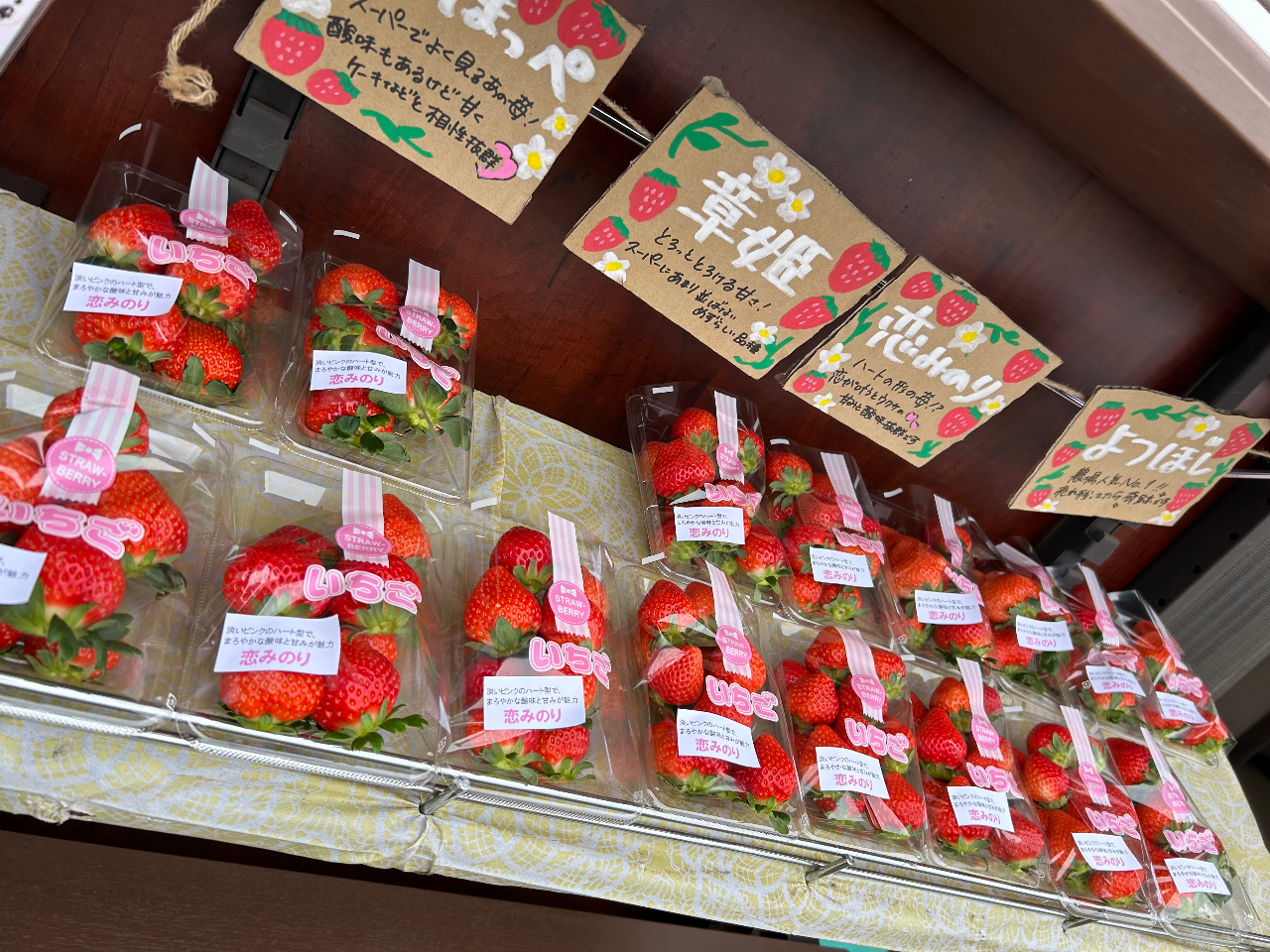 �̂ꂽ�Ă̂��������̔����I