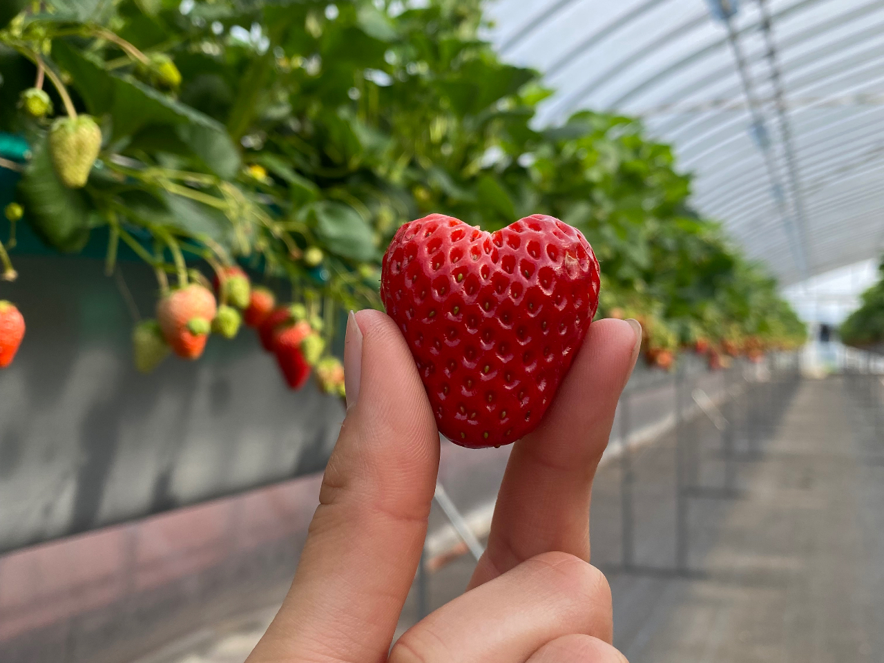 ���̂悤�ȉ���������������̂ŁA�������������Ȃ���T���Ă݂Ă��������I