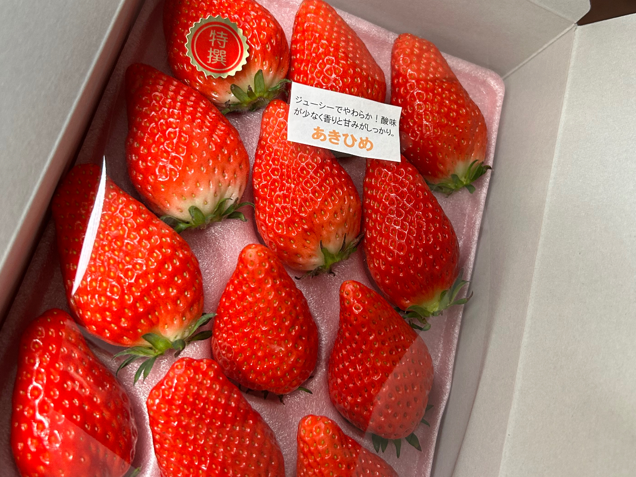 �嗱�̂������I�����p�ɂ������ł����H�H