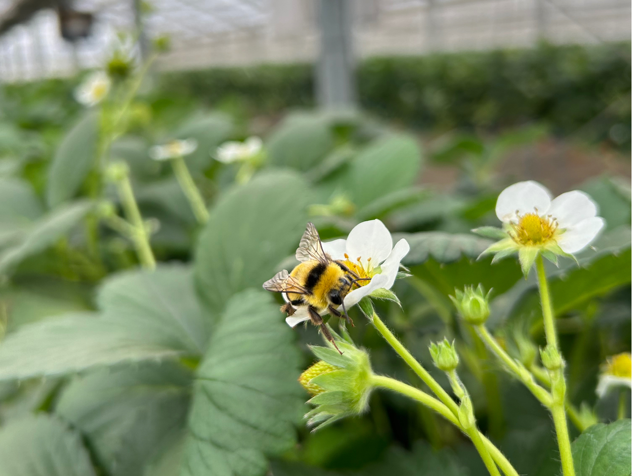 �������ׂ̈ɂ́A�������Ȃ��]�ƈ��ł��I���C�ɔ��ł��܂����A�Ƃ��Ă���l�������i�ł����D�������Ă���������