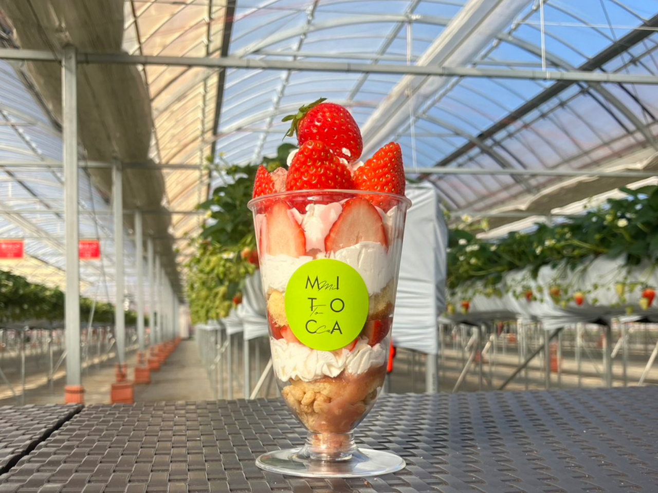 �������p�t�F�́A�������n�E�X�̒��ł��̂܂܂������オ�蒸���܂��I