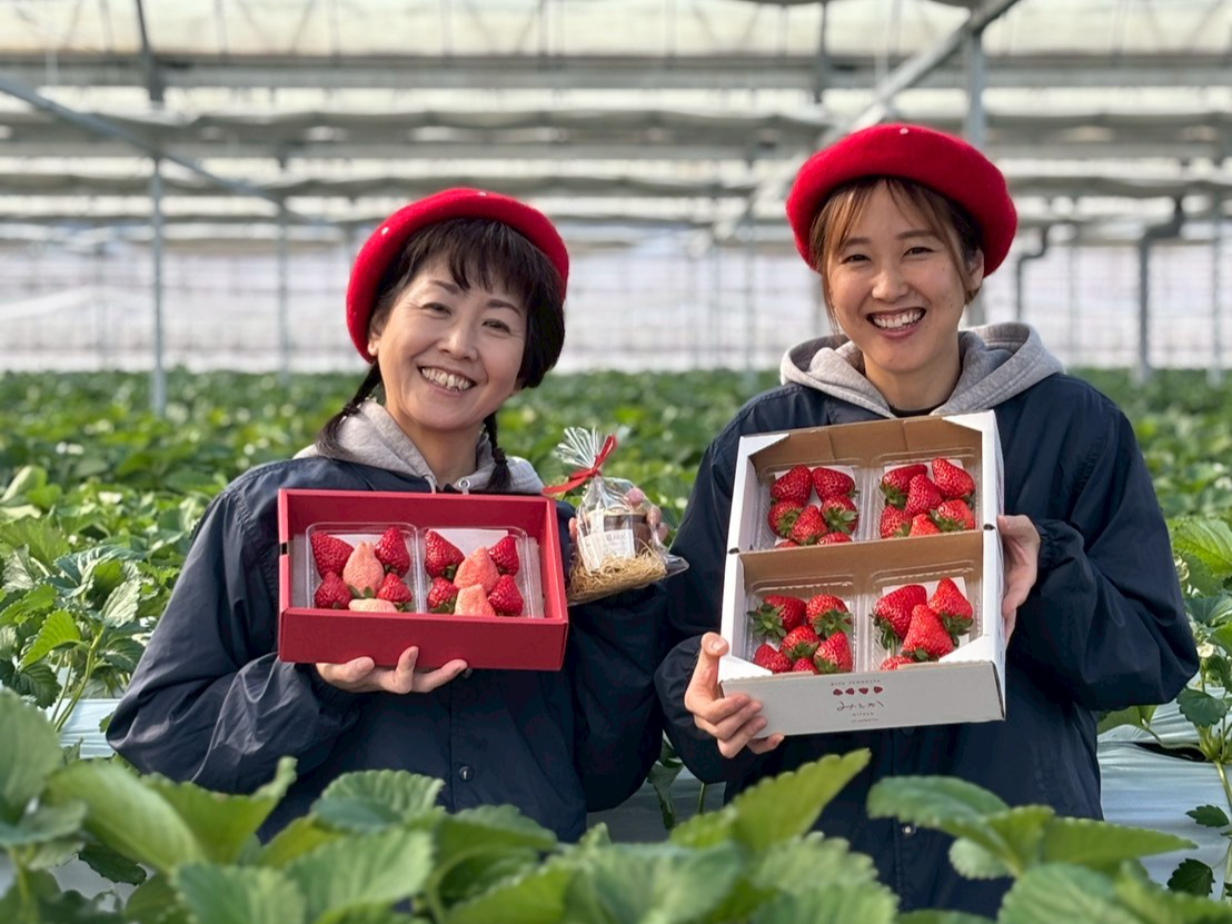 岐阜・山県市／いちご狩り】＼ナイトいちご摘み取り＋焚き火体験プラン