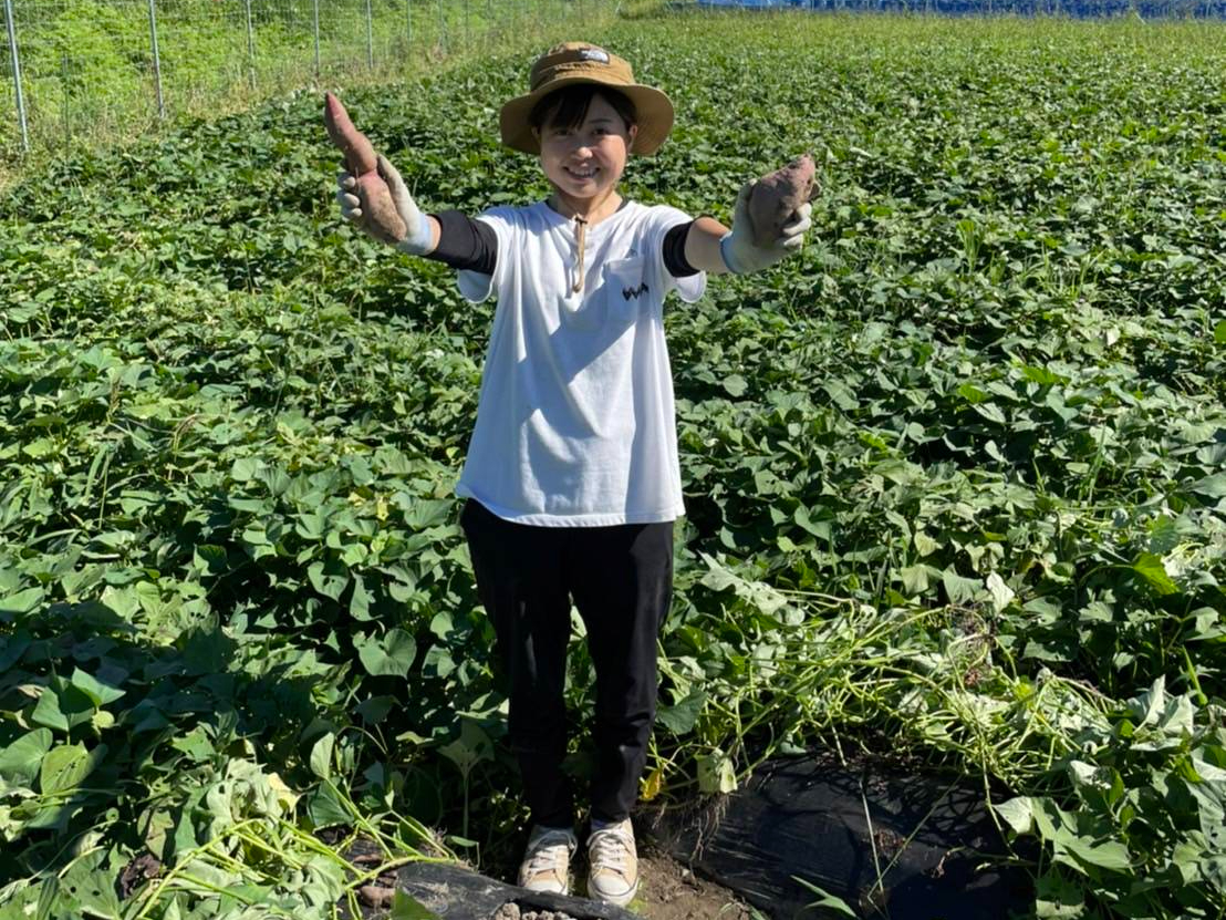 自然に囲まれたさつまいも畑には4種類のさつまいもが栽培されています!(お申し込みの入力欄は「人」ですが、「組」と読み替えるようにお願いします)